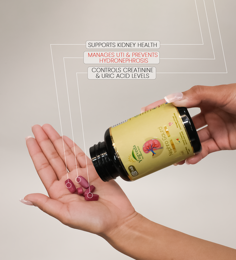 Nephro Guard Tablets